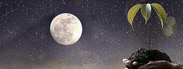 La teoría cósmica o sideral.