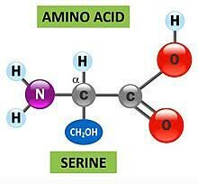 Osborne, Mendel, Rose