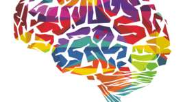 Timeline: Historia de la Psicopatología