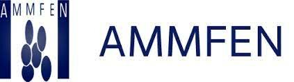 AMMFEN