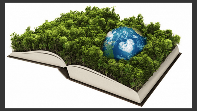 Comisión mundial sobre el Medio Amiente y Desarrollo