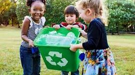 Timeline: educación ambiental en colombia