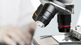 Timeline: MICROSCOPIA