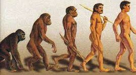 Timeline: Posturas de la evolución por Tania Matlala.
