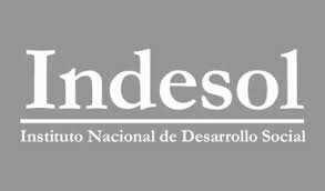 APOYO A ONG´S