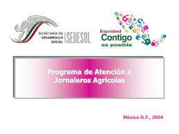 JORNALEROS AGRICOLAS