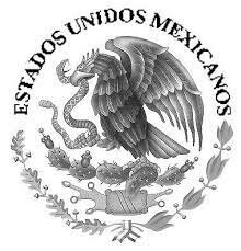 REFORMAS CONSTITUCIONALES DEL 2011