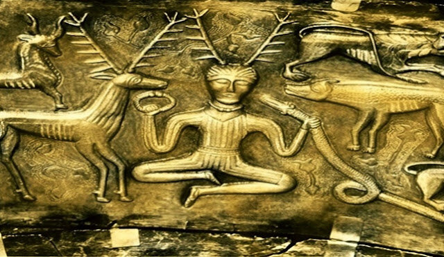 Primeros cuidadores de la salud