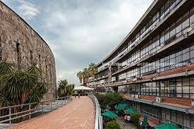 Se funda el instituto de Ciencias Sociales y Humanides