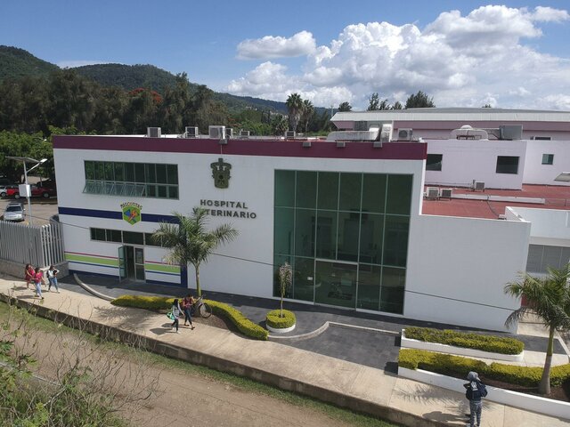Se crea la escuela de medicina veterinaria