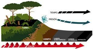 El carbón como combustible