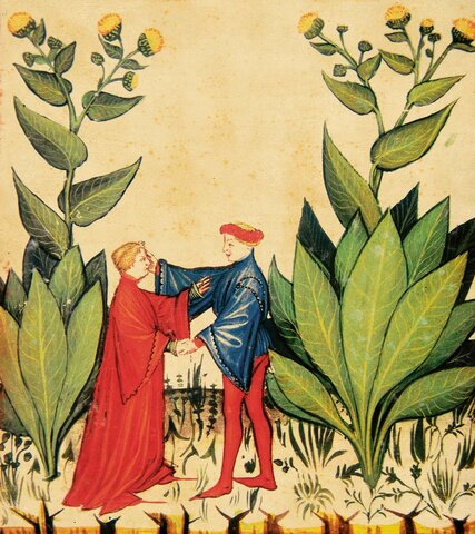 El azúcar y el pueblo musulmán