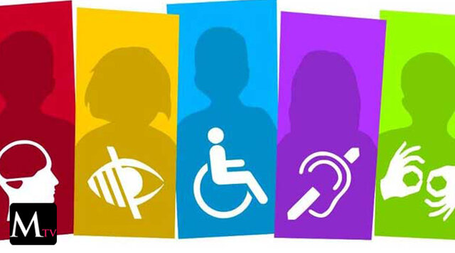 Ley 1145, organización del Sistema Nacional de Discapacidad