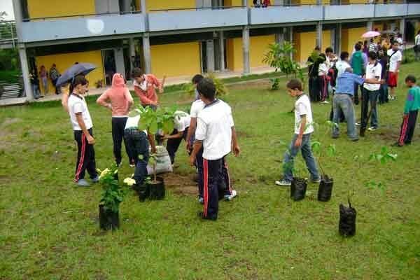 Decreto 1743 de 1994 - Colombia
