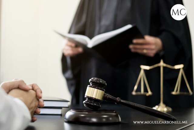 ARTICULO 19 CONSTITUCIONAL