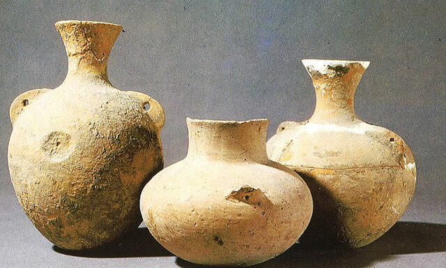 Las primeras fermentaciones