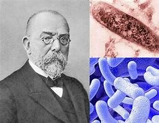 Teorìa microbiana sin Pasteur y Koch