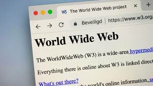 World wide web Project