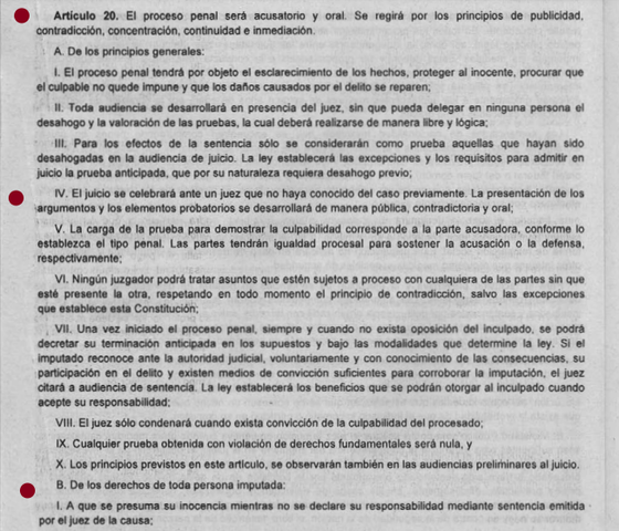 6ta Reforma articulo 20