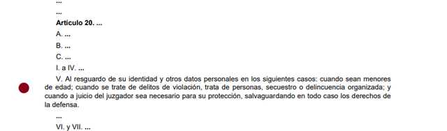 7ma Reforma articulo 20