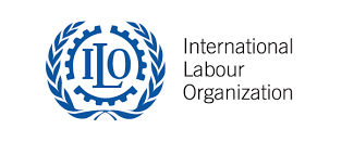 En  Colombia,  concretamente,  la  Asociación Nacional  de  Industriales  y  la  Organización  Internacional  del  Trabajo  propusieron  un  modelo de  balance  social