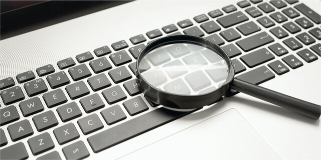 Opción de búsqueda