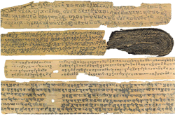 Distintas formas del yoga