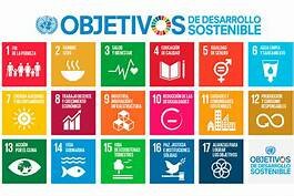 17 objetivos planteados por la ONU