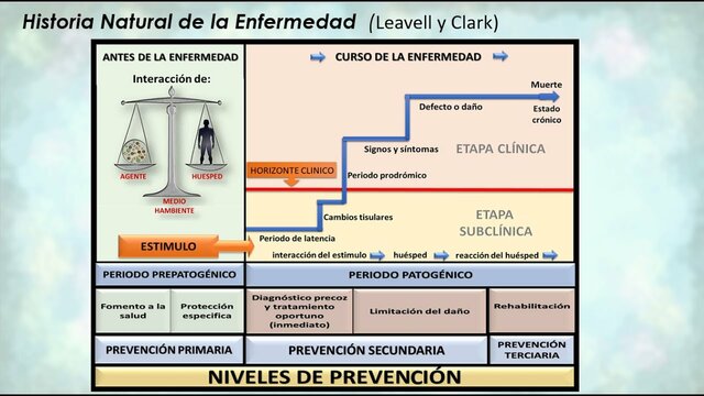 Promoción y Prevención de la Salud
