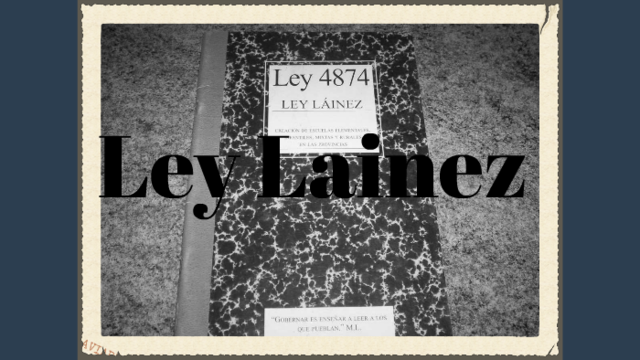 Ley Láinez 4874