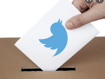 Votaciónes en internet