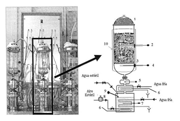 Biorreactor de columna estéril