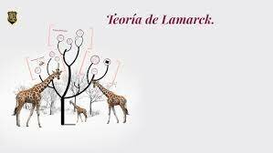 Teoría Lamarck.