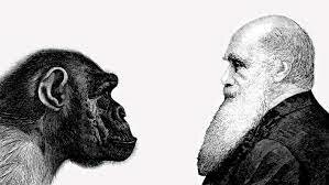 Teoría Darwin.