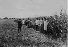 Subsidios agrícolas y ganaderos