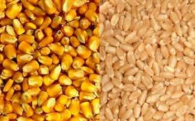 Deterioro del sector agropecuario