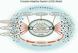 Sistema adaptativo complejo (CAS)