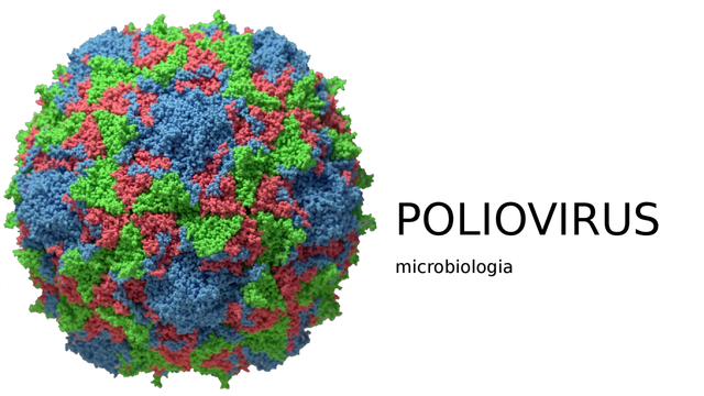 Se aprueba la vacuna antipoliomielítica oral