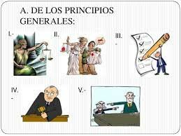 ARTÍCULO 20 CONSTITUCIONAL Párrafo reformado DOF 14-07-2011