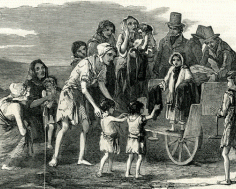 Teoría del germen o microbiana sin Pasteur y Koch.