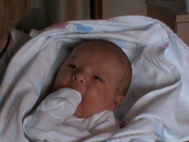 Birth of Lute Elling Jansen