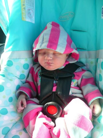 Birth of Alma Madeline Jansen