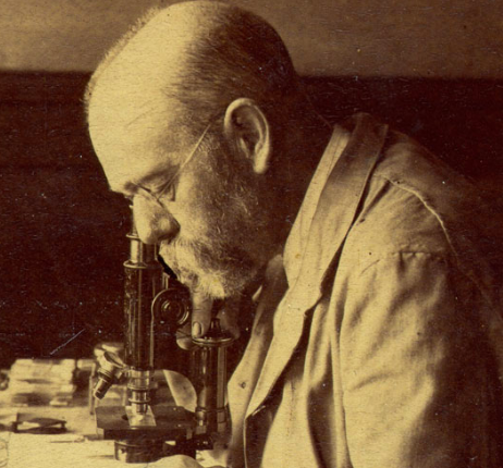 Teoría del germen o microbiana.