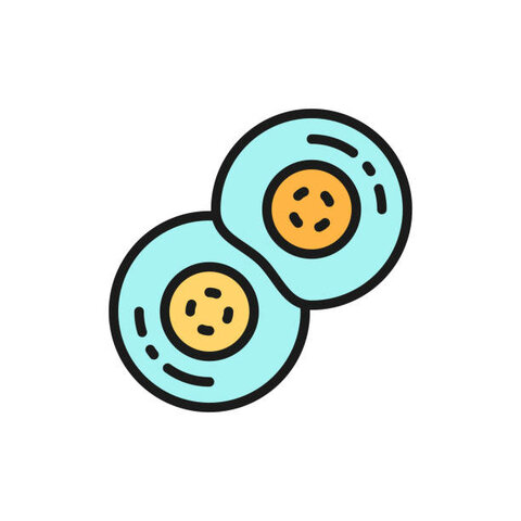 4 horas El después...