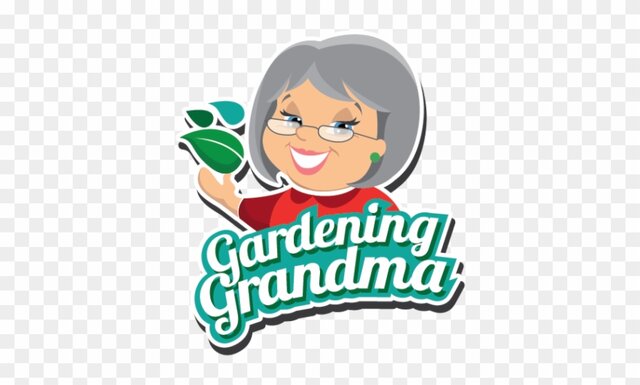 Become a Grandma