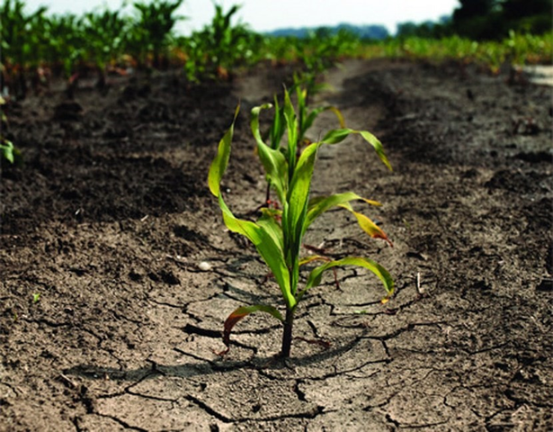 Otras nociones de causas