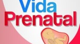 Timeline: DESARROLLO PRENATAL