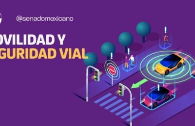 DECRETO 243 ART. 73 Y 115