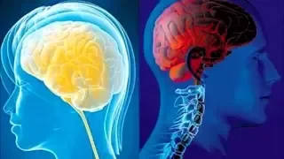 Avances de la ciencia