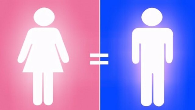 Artículos 2, 4, 35, 41, 52, 53, 56, 94 y 115